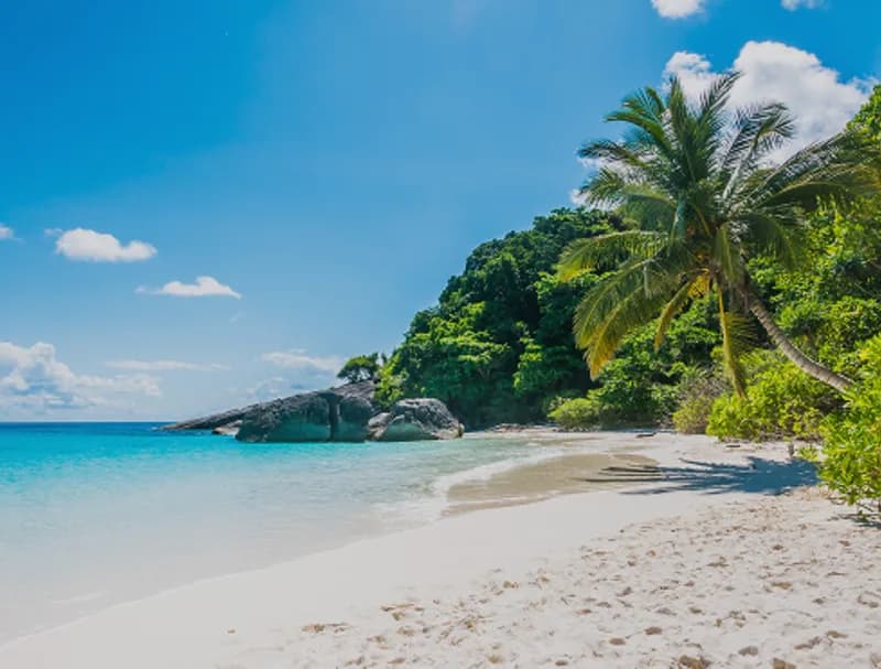 Why Choose a Private Surf Instructor at Padang Padang Beach? - Private surf coaching in Bali